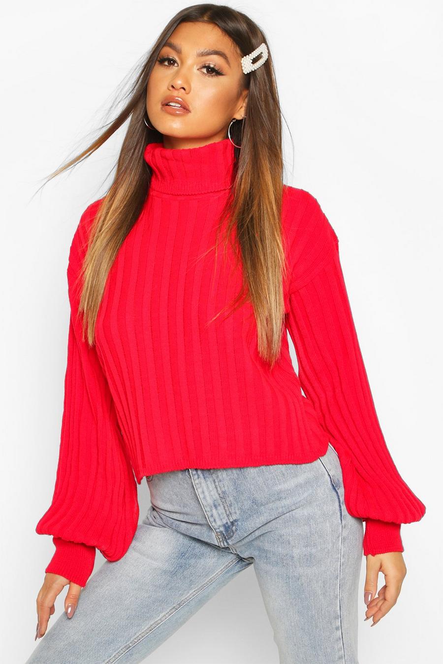 Rib Knit Roll Neck Balloon Sleeve Jumper image number 1