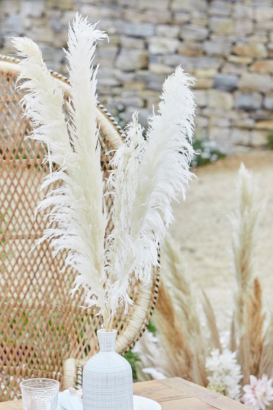 Neutral Ginger Ray Pampas Grass image number 1
