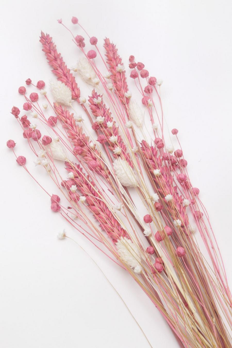 Bouquet de fleurs séchées roses et blanches, Pink image number 1