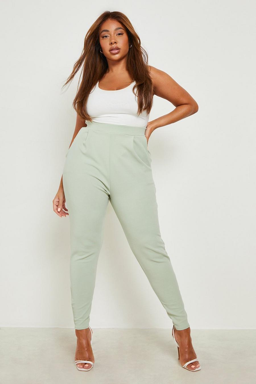 Sage Plus Pleat Front Trousers image number 1