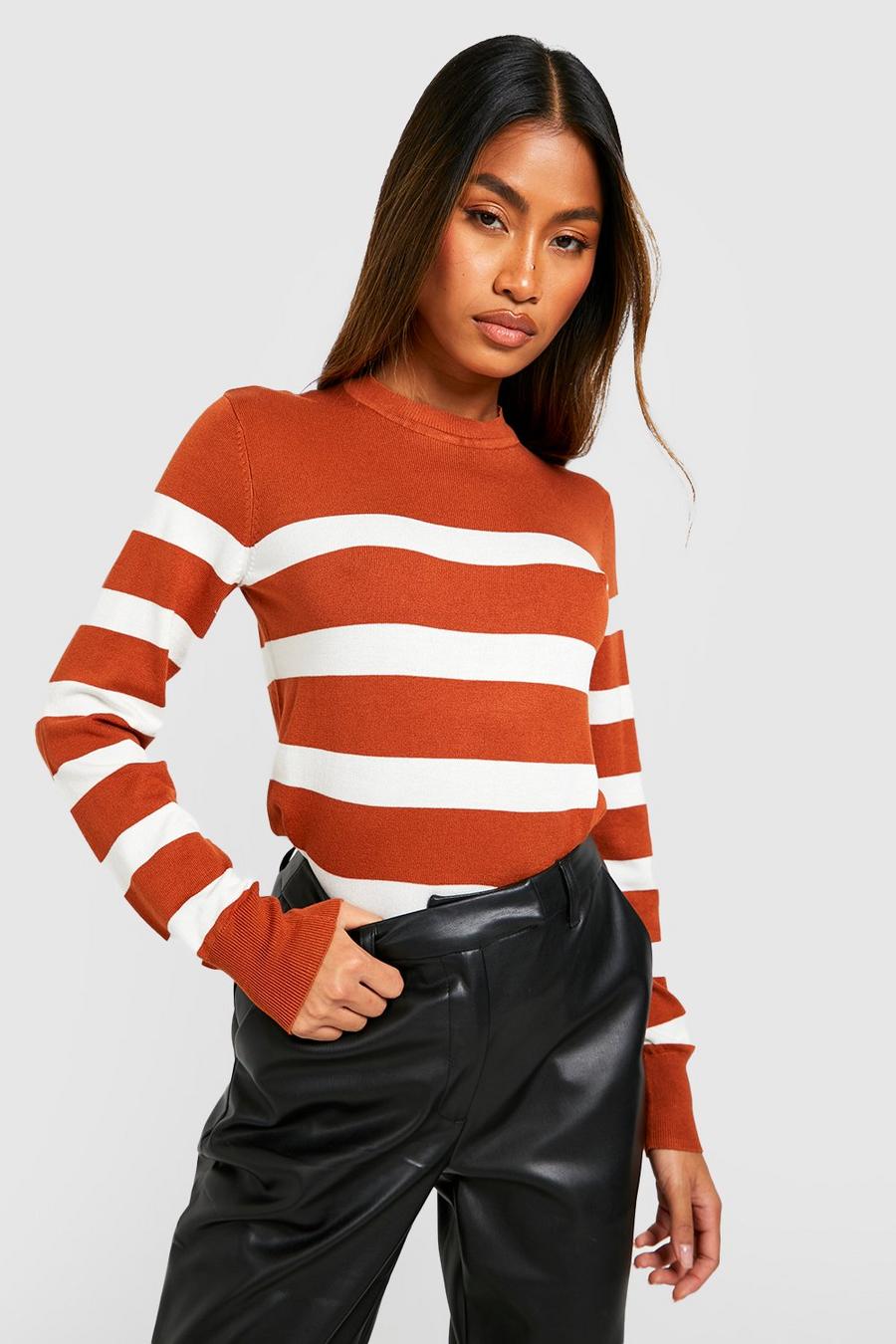 Rust Stripe Knitted Crew Neck Jumper image number 1