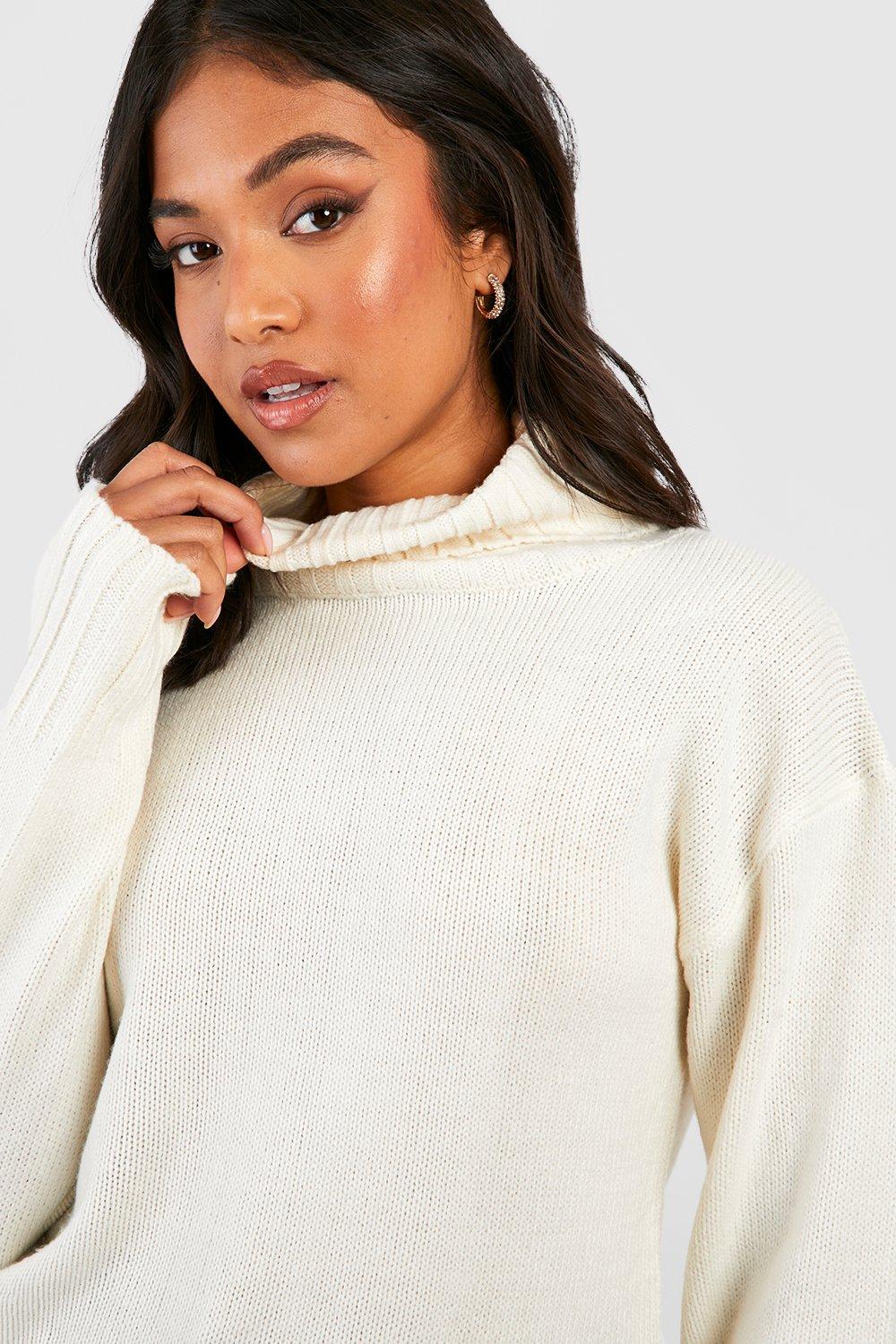 Petite turtleneck clearance sweaters