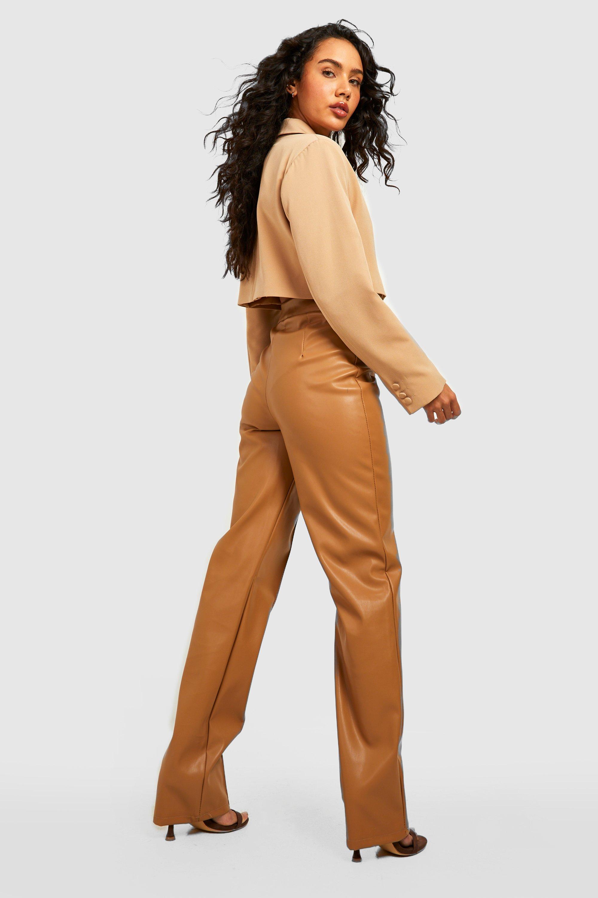 Faux Leather Seam Front Dress Pants