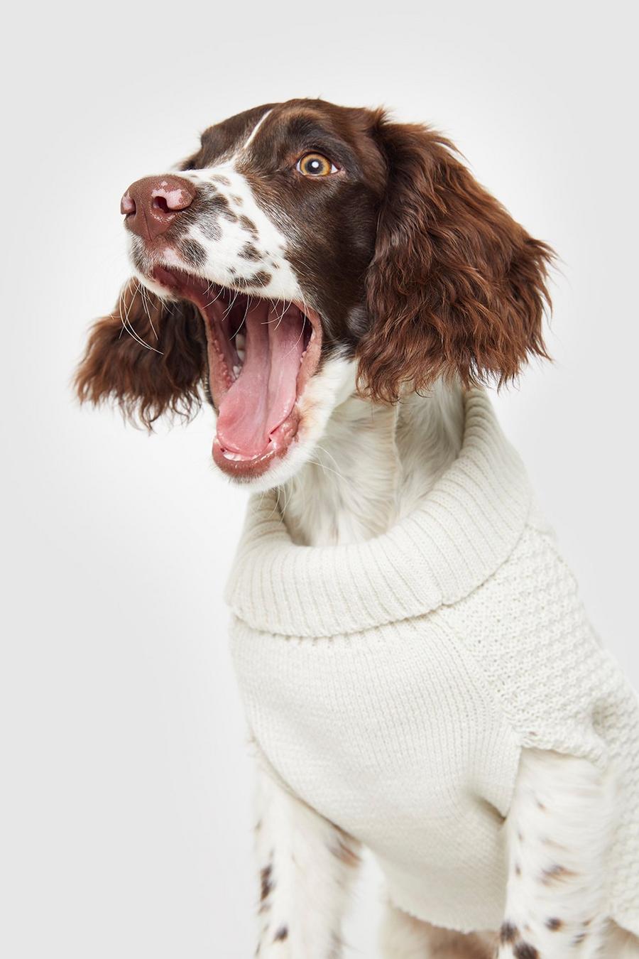 Chilly Dog Cable Knit Dog Sweater