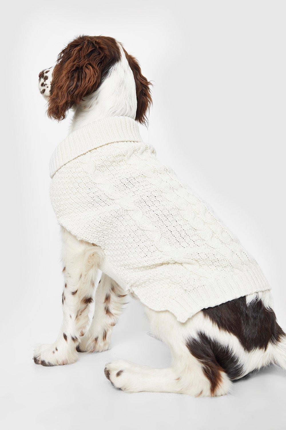 Boohoo christmas jumper on sale dog