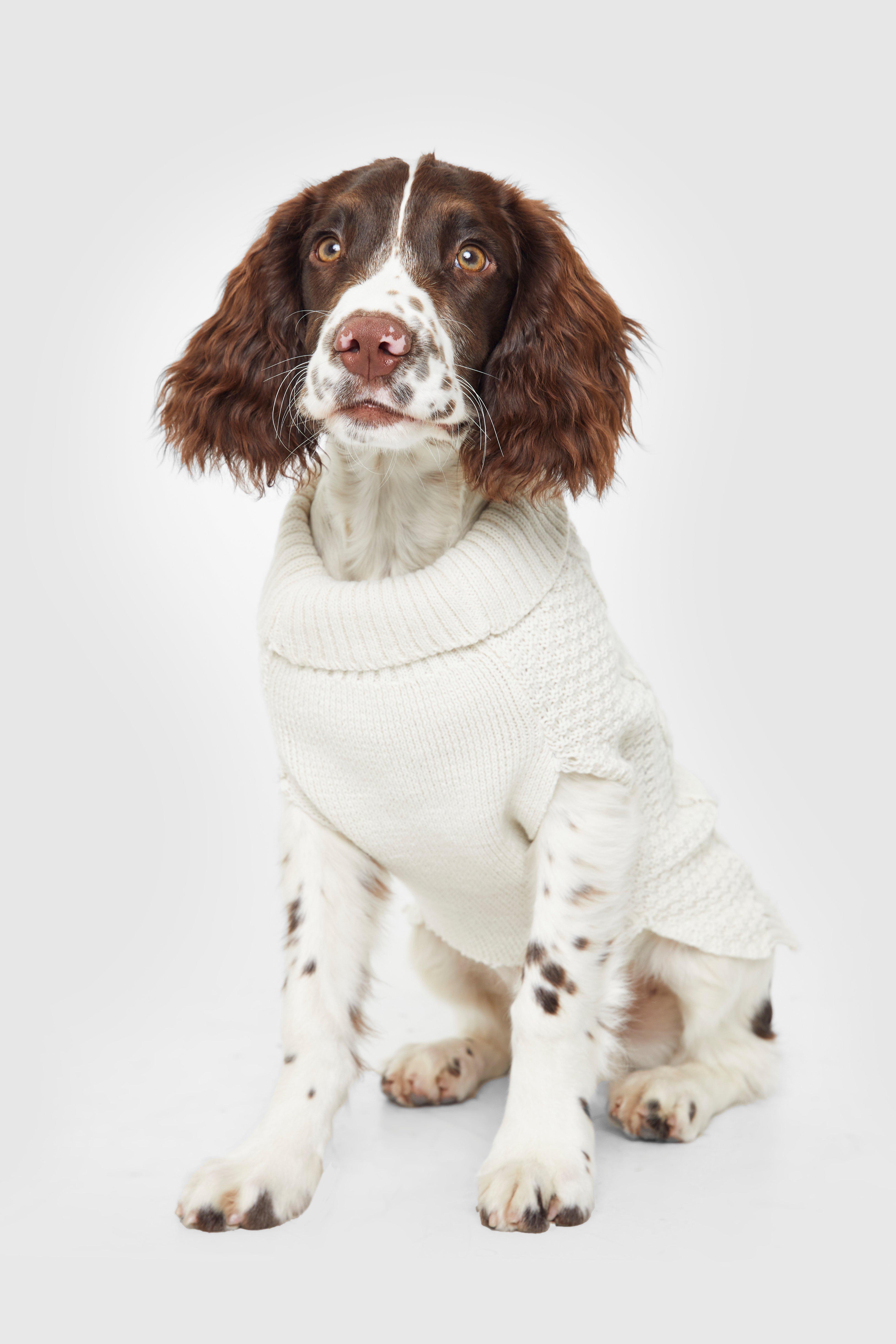 Boohoo dog christmas jumper best sale