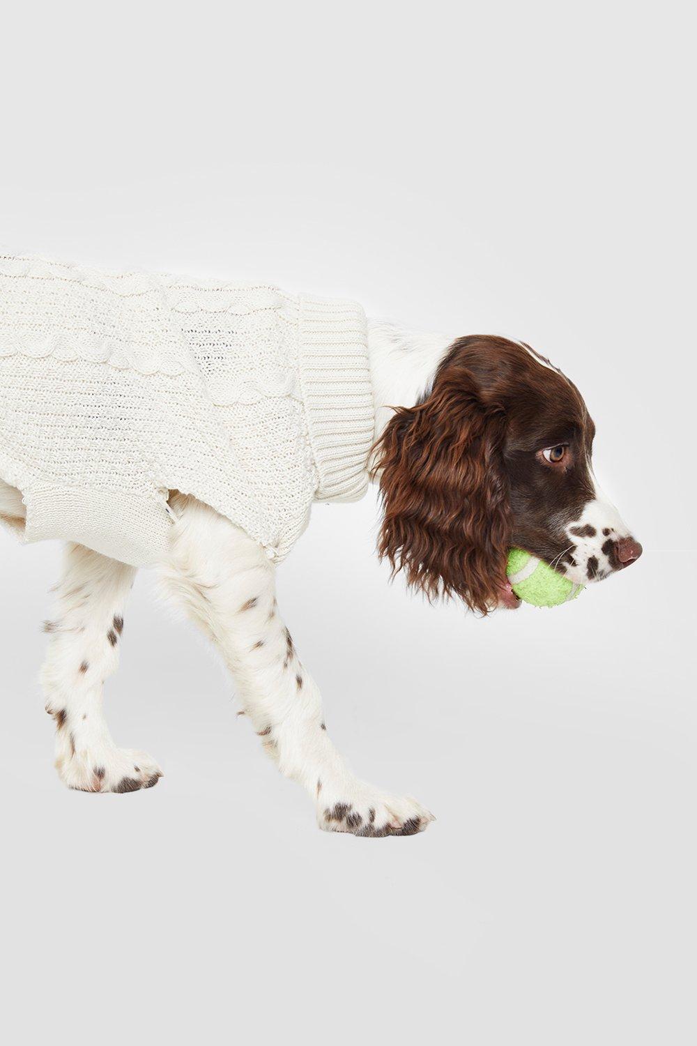 Boohoo dog christmas jumper sales