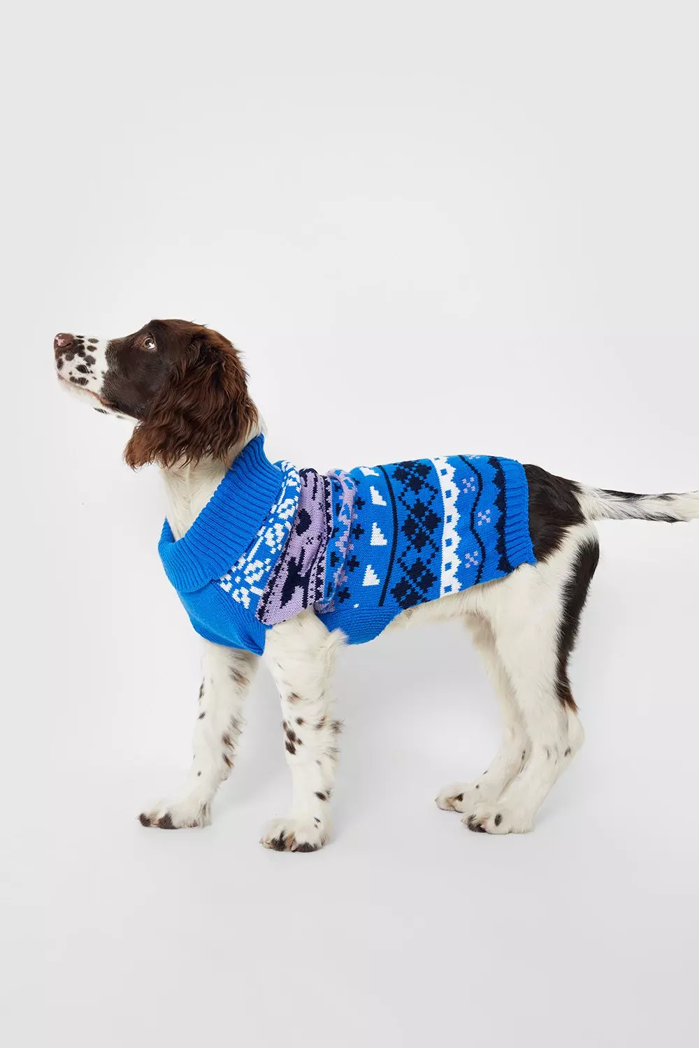 Boohoo christmas 2025 jumper dog