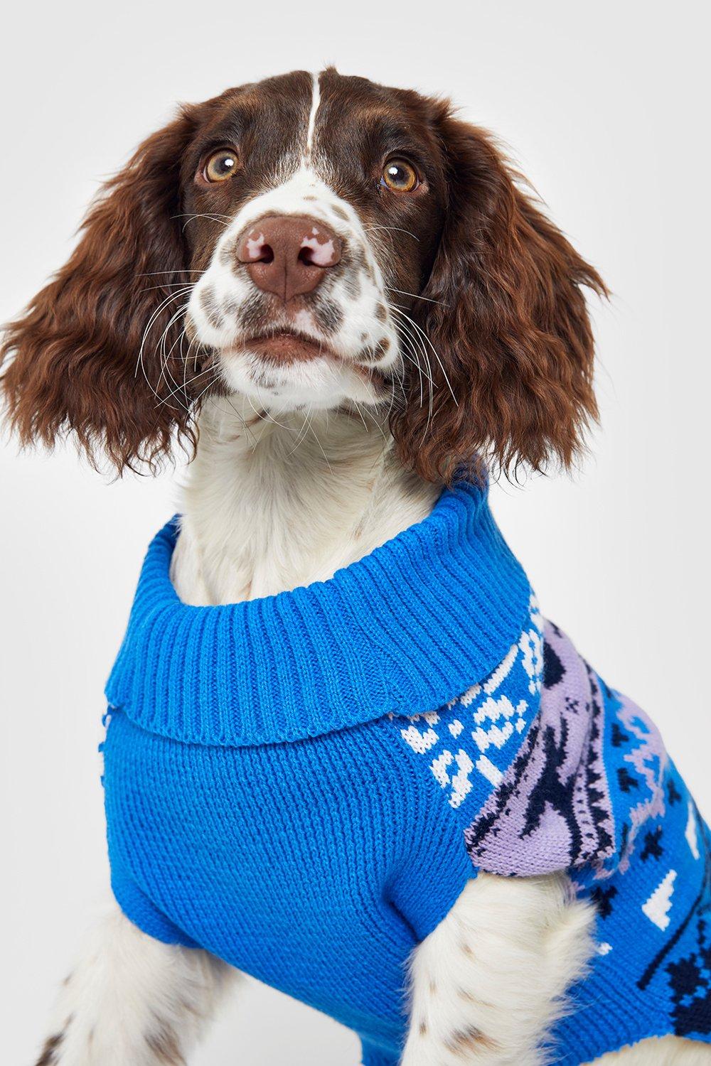 Christmas jumper deals with dog on