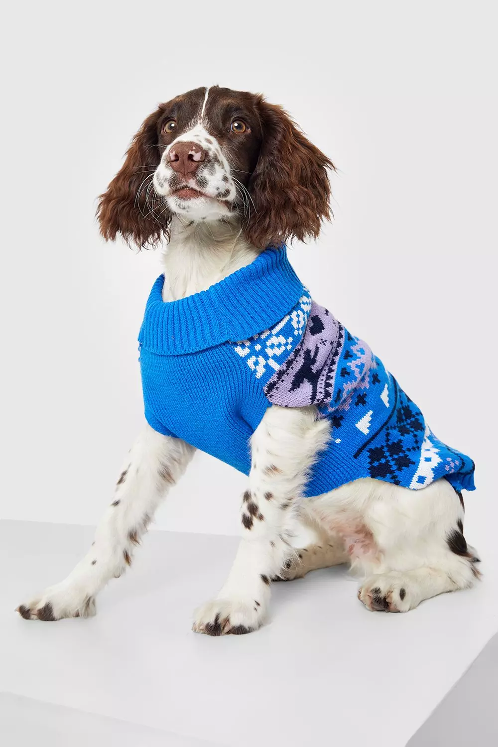 Boohoo christmas jumper dog best sale