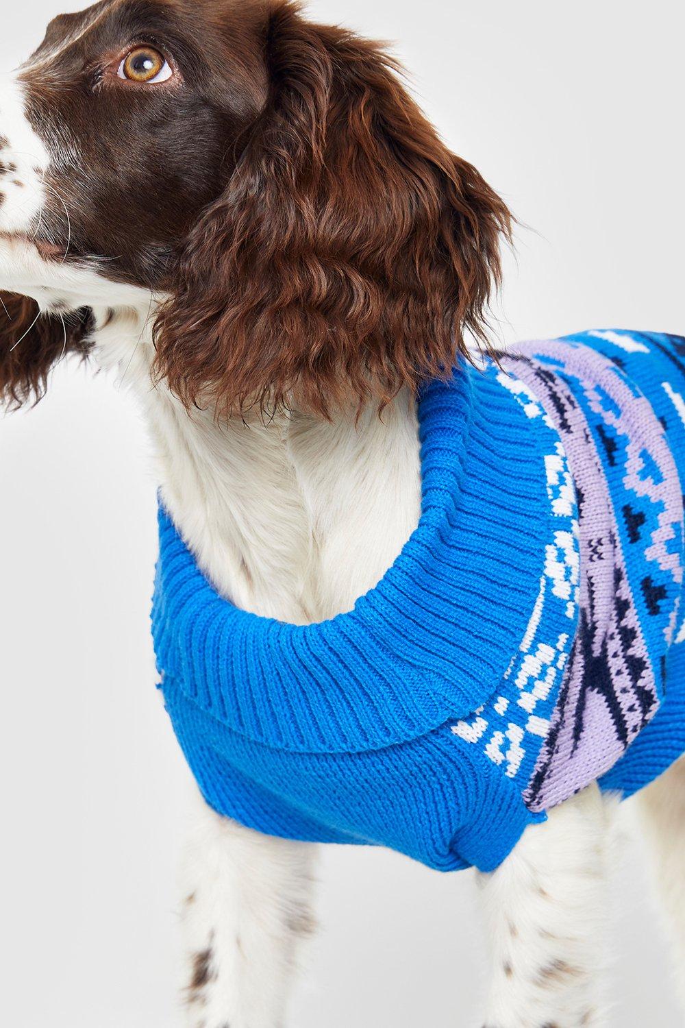 Boohoo christmas hot sale jumper dog