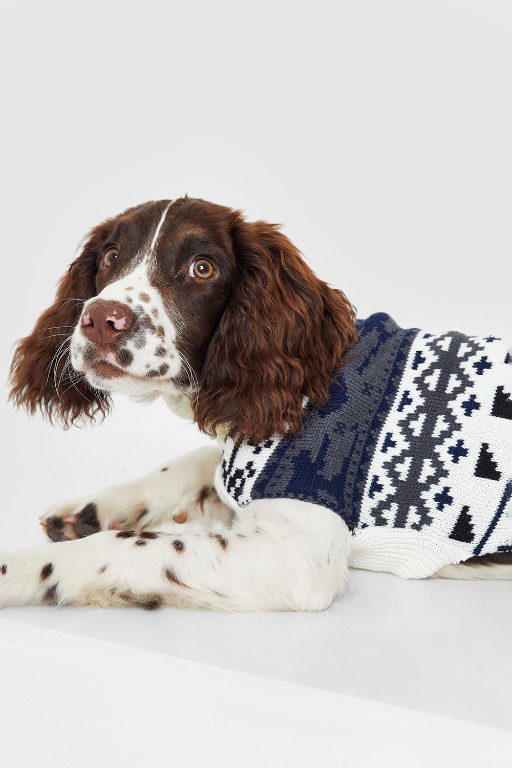 Cocker spaniel clearance xmas jumper