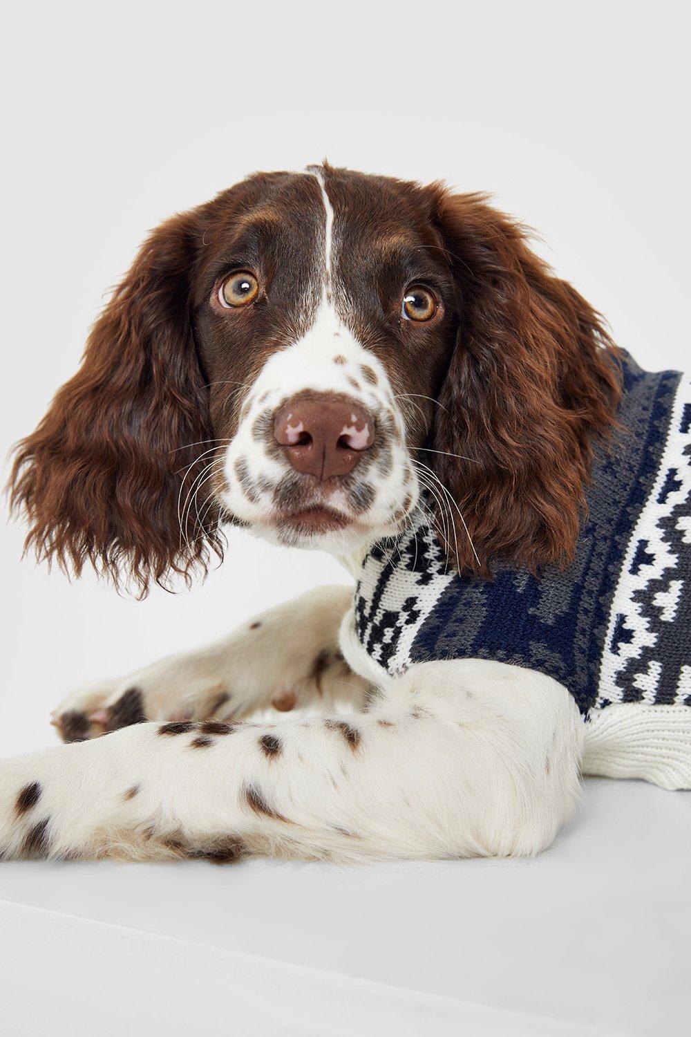 Boohoo dog outlet christmas jumper