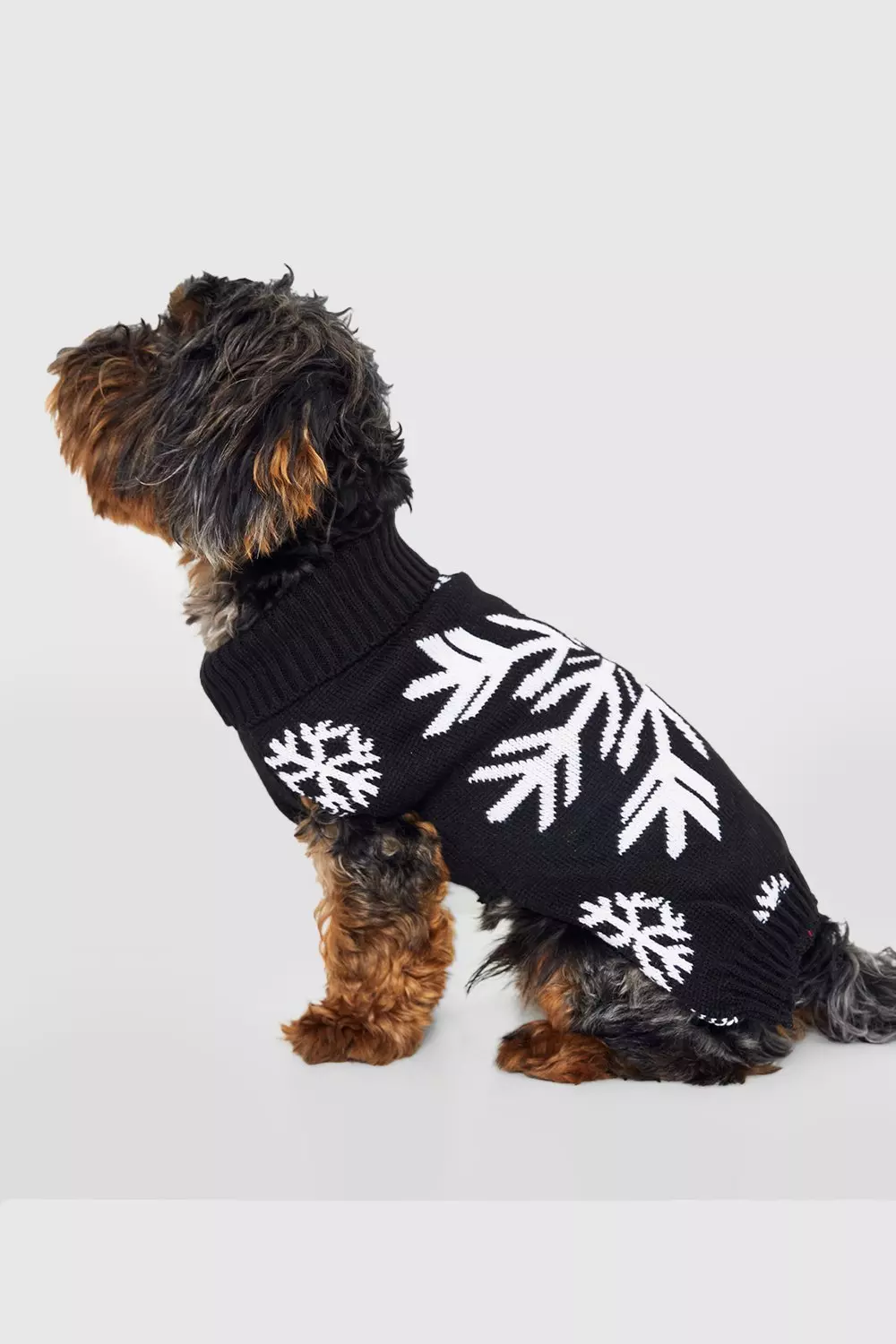 Xl dog xmas on sale jumper