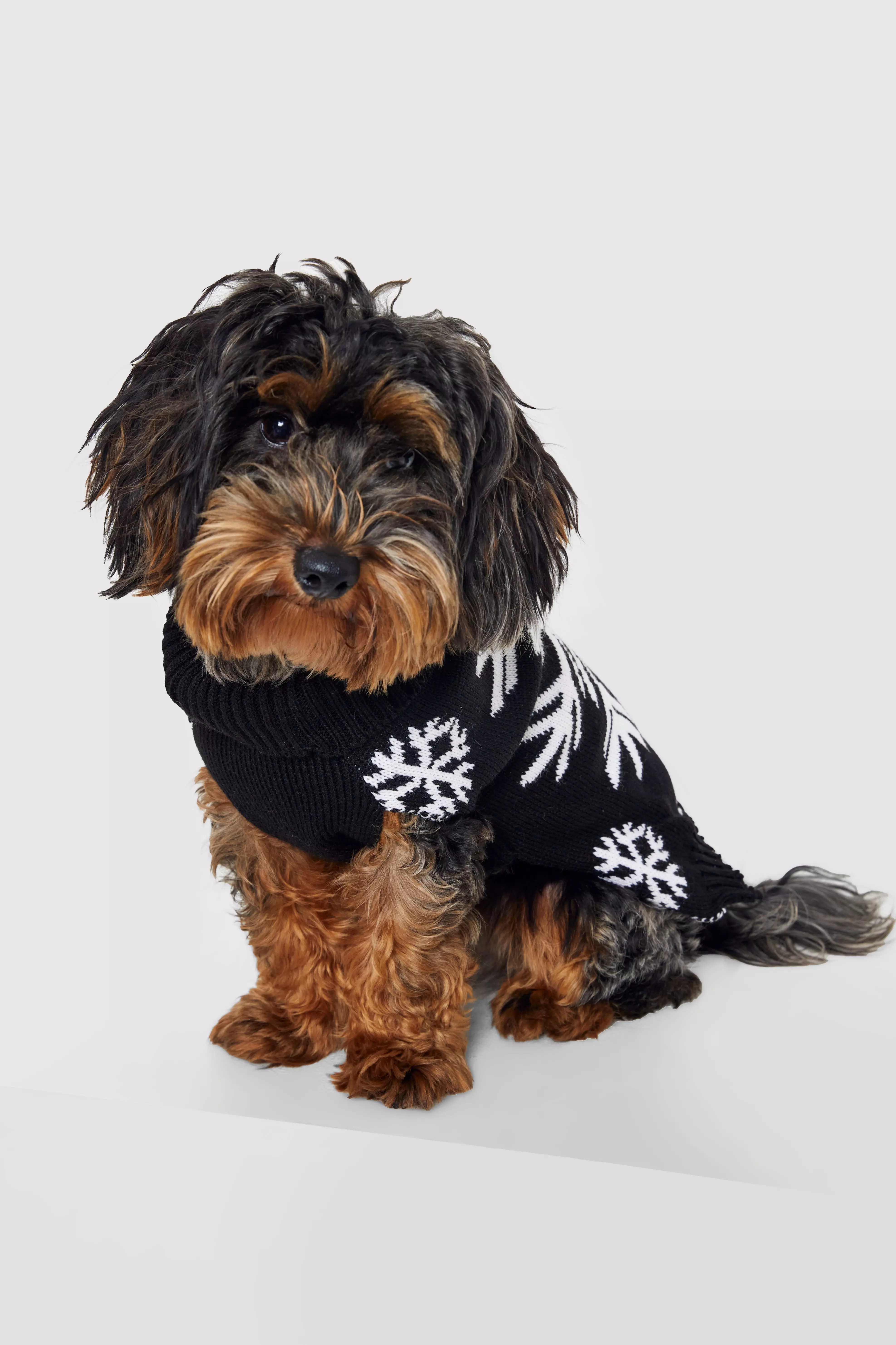 Boohoo christmas shop jumper dog