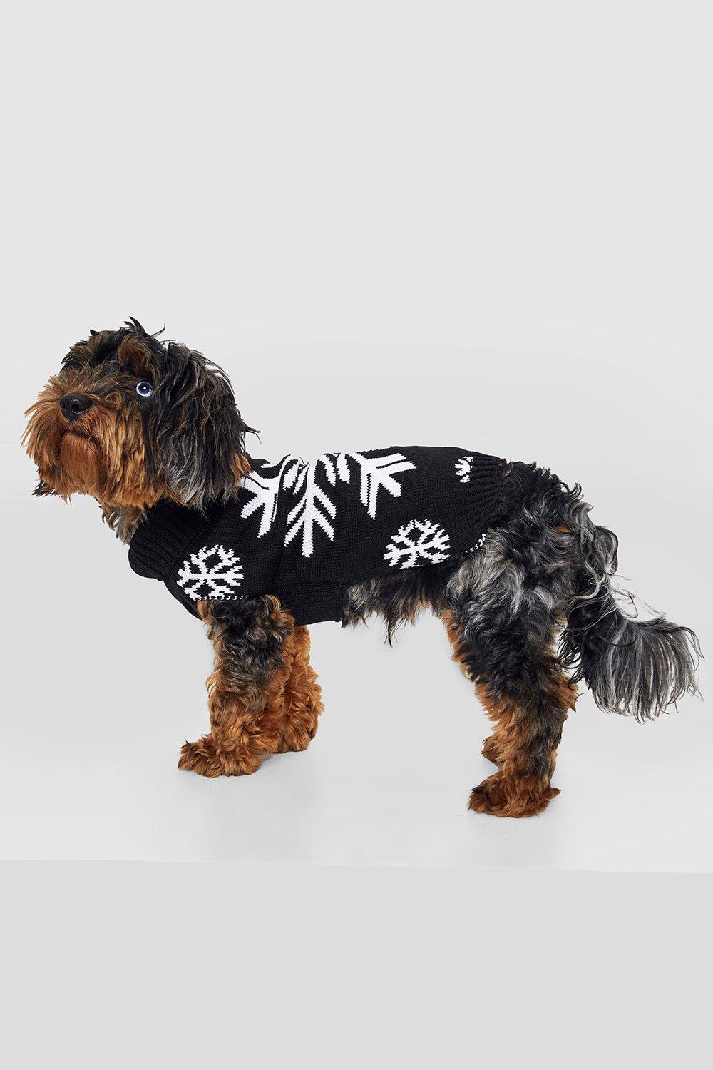 Boohoo 2024 dog jumper