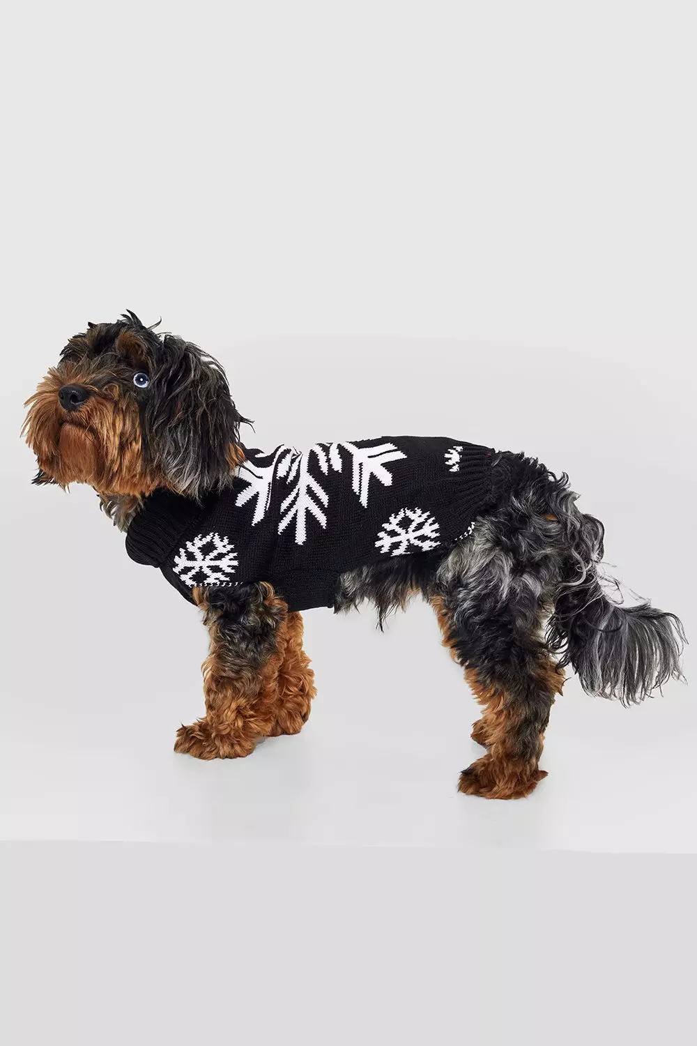 Boohoo dog christmas top jumper