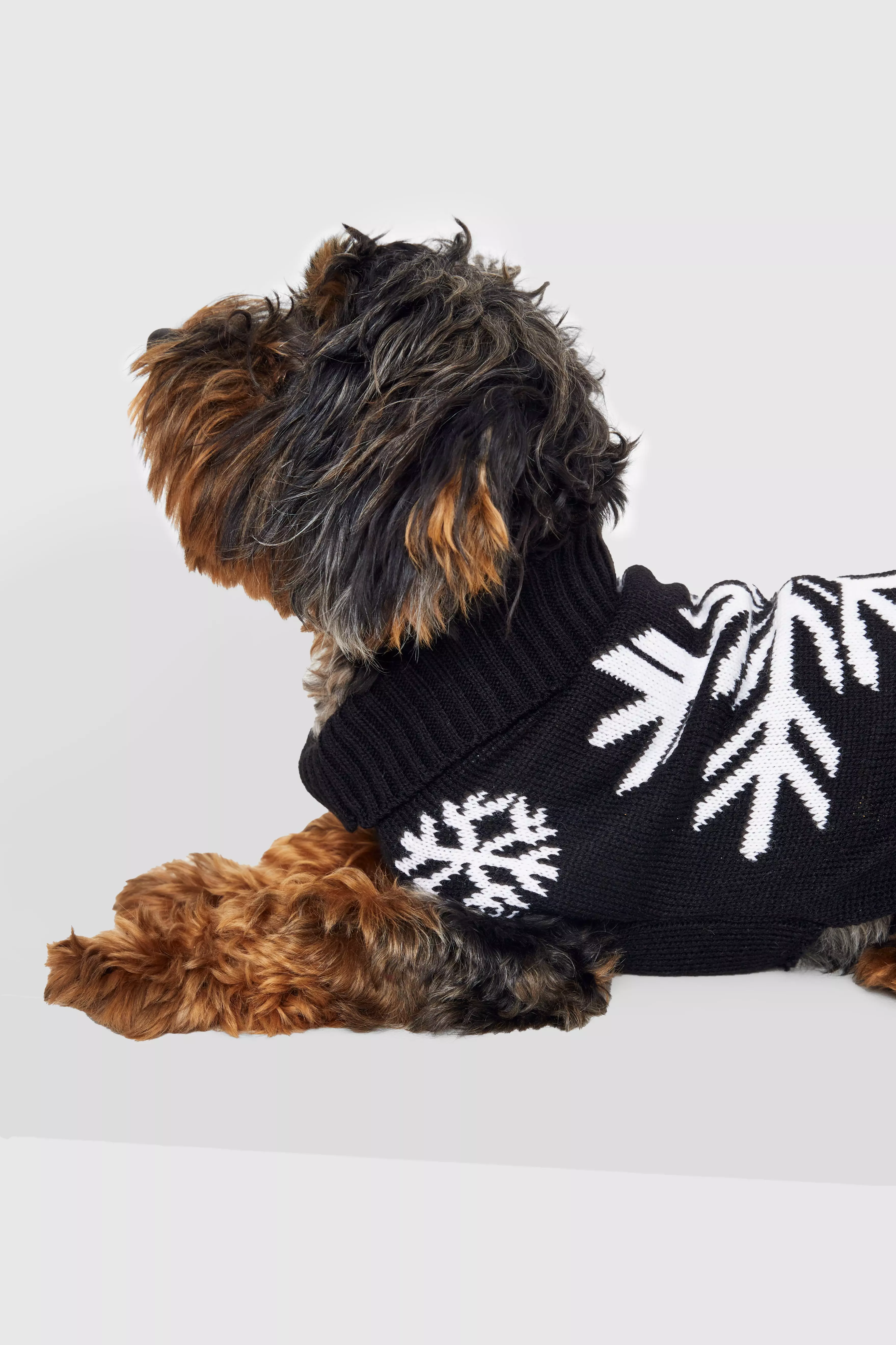 Boohoo christmas jumper on sale dog