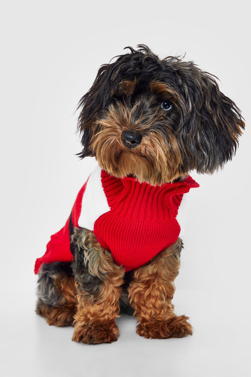 Santa Claus Dog Christmas Jumper