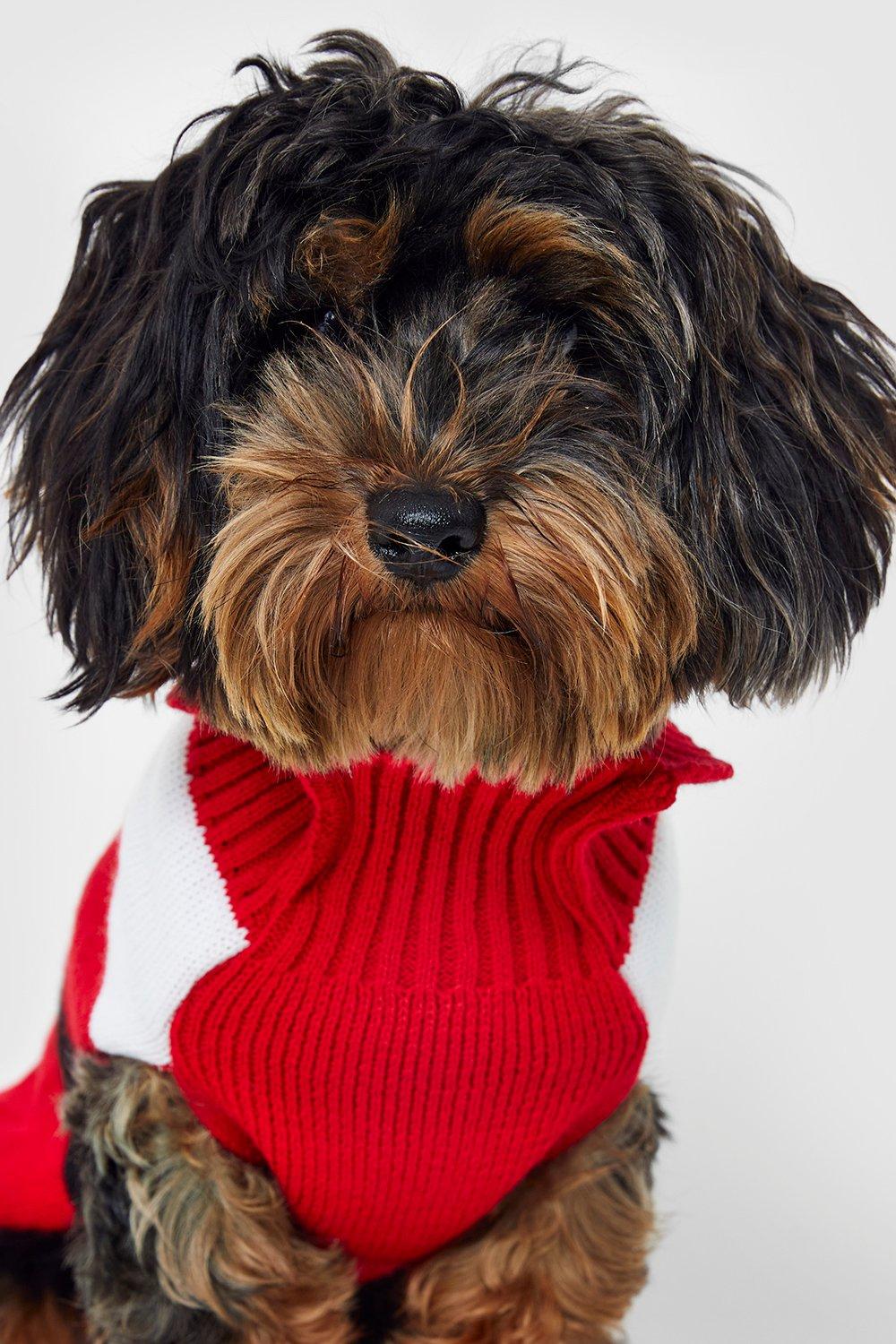 Boohoo dog 2025 christmas jumper