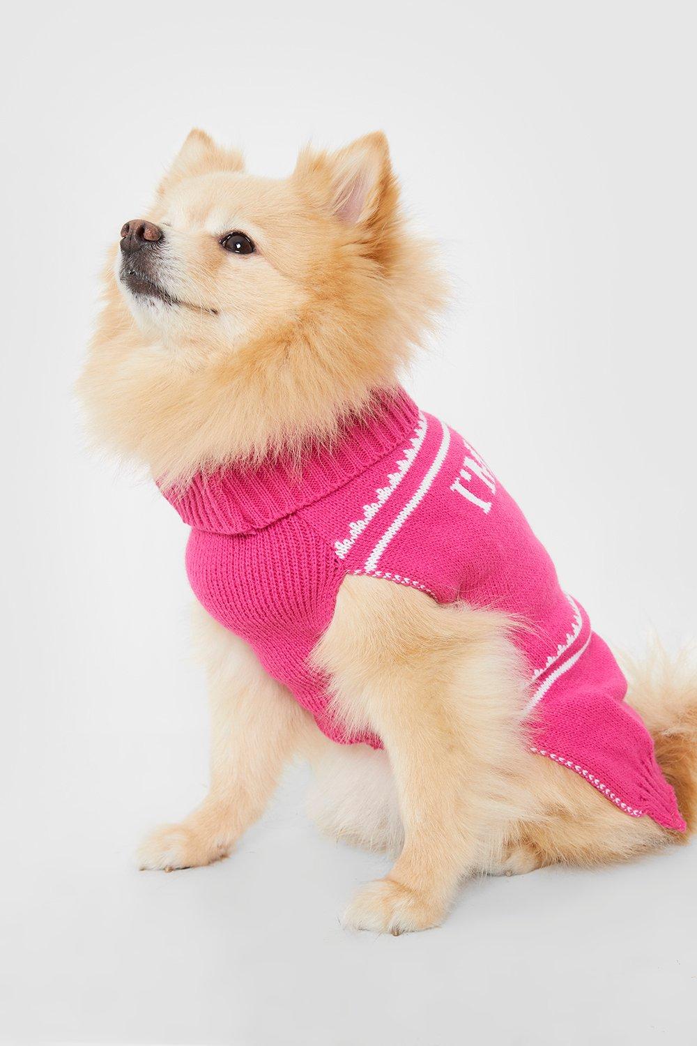 Boohoo store dog clothes