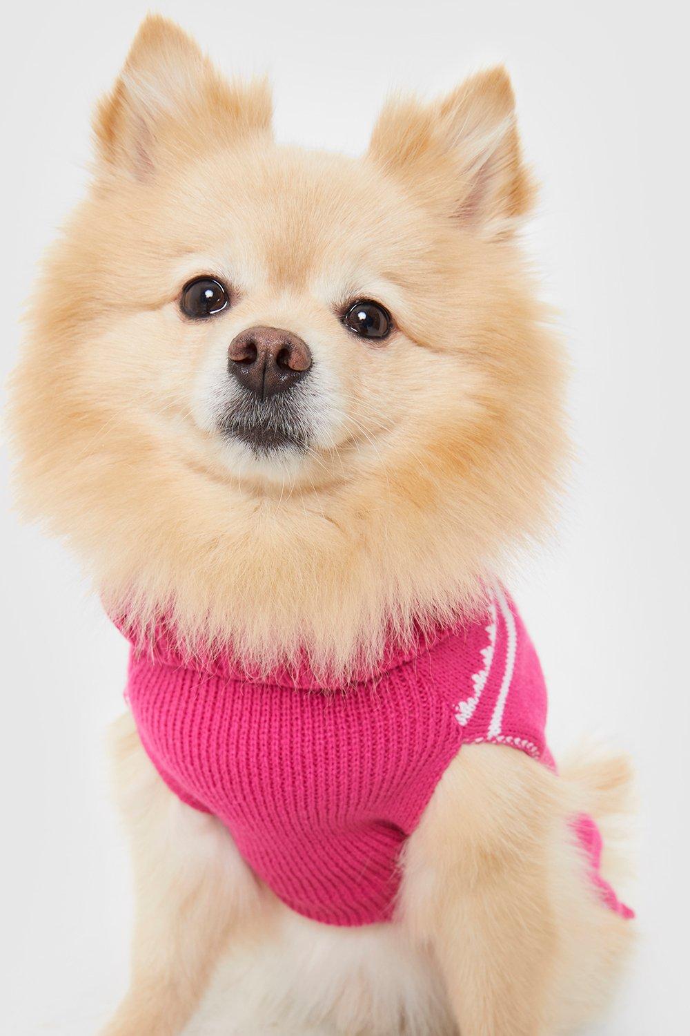 Boohoo store dog clothes