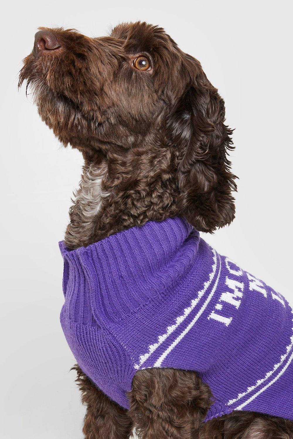 Boohoo dog christmas jumper sale