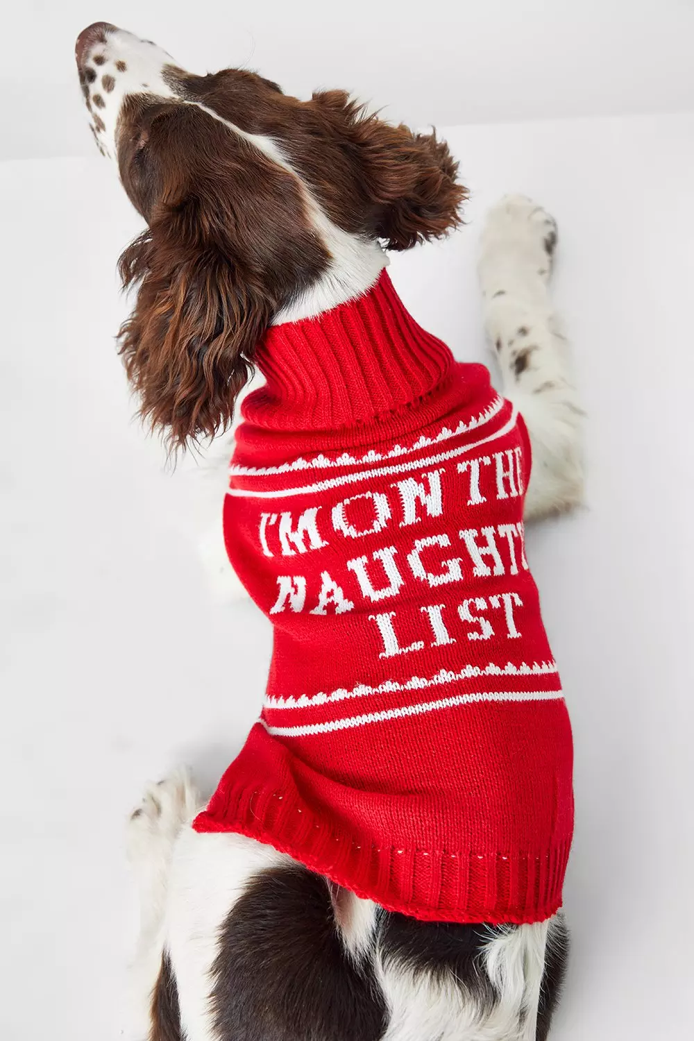 Dog discount xmas jumper