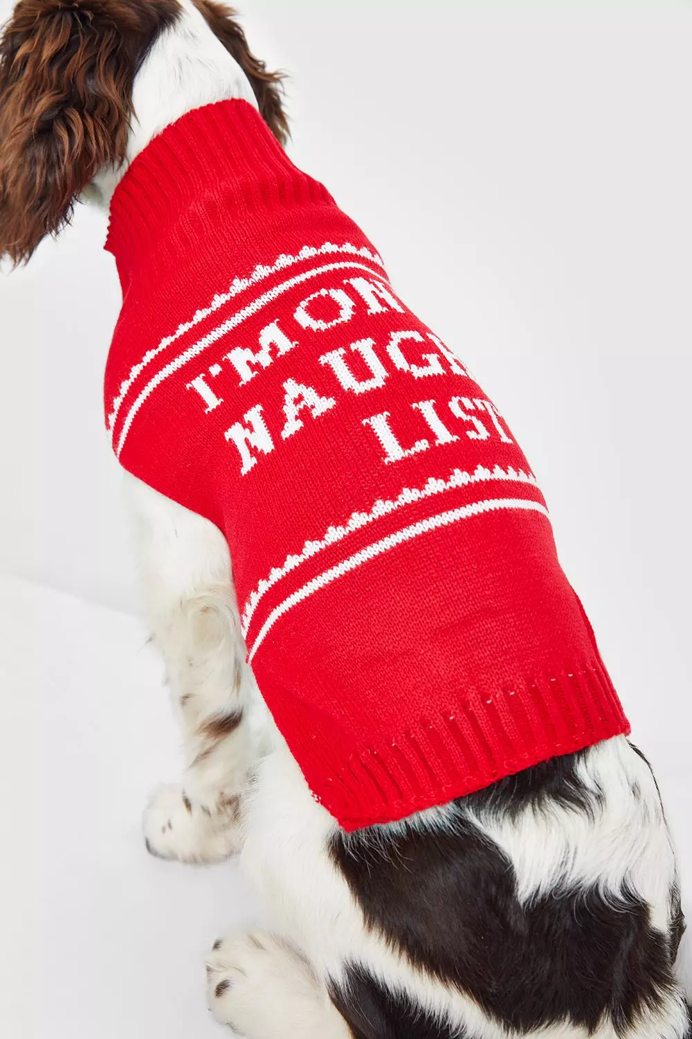 Boohoo christmas hot sale jumper dog