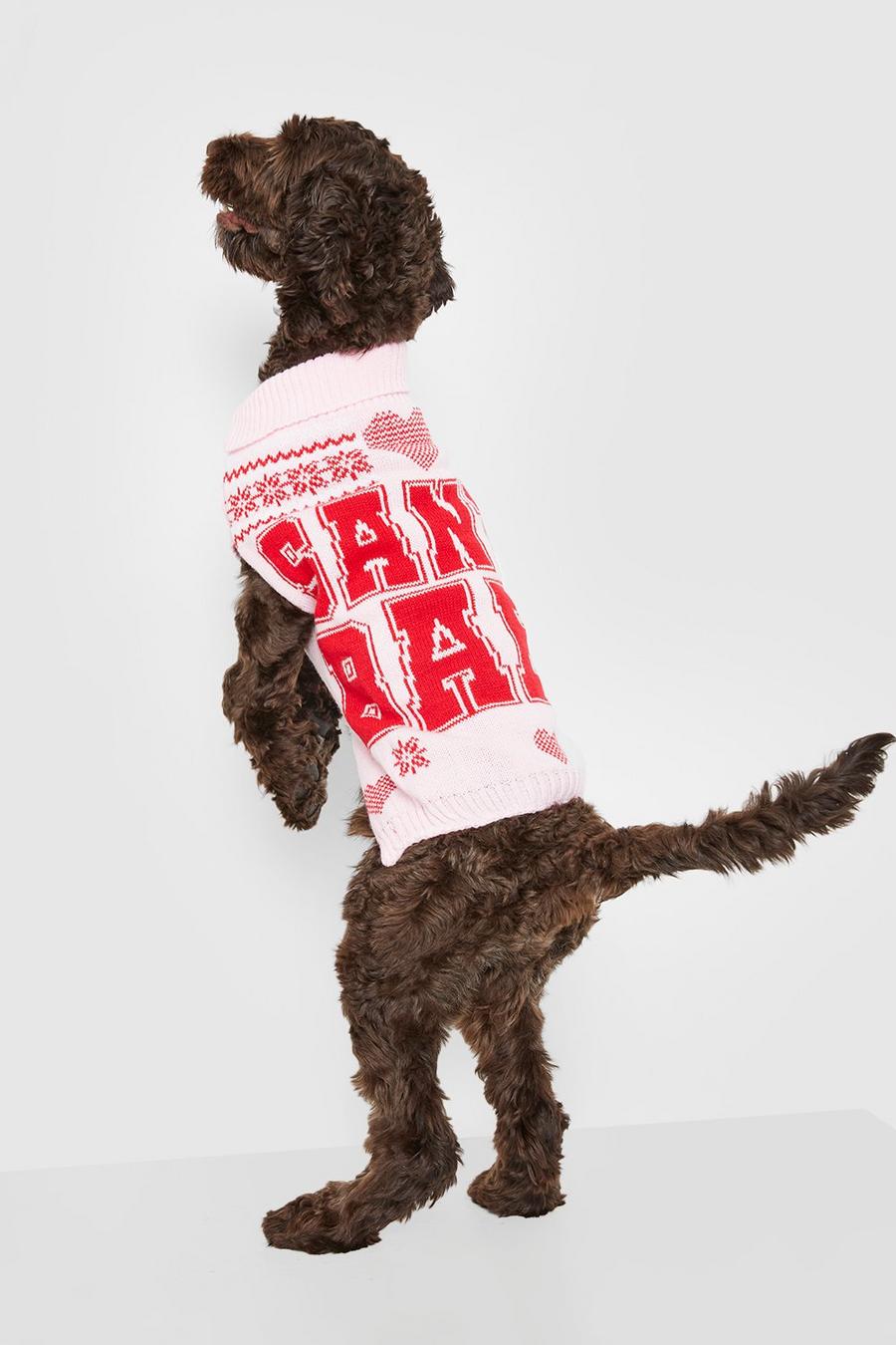 Maglione natalizio per cani con slogan Santa Baby, Pink image number 1