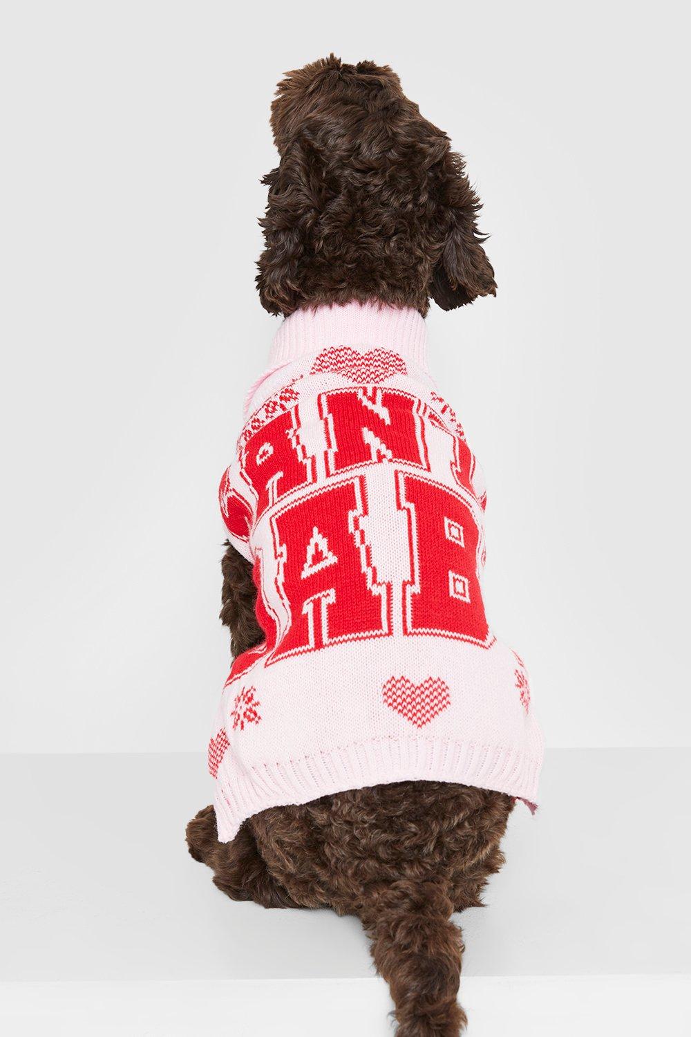 Santa Baby Dog Christmas Sweater