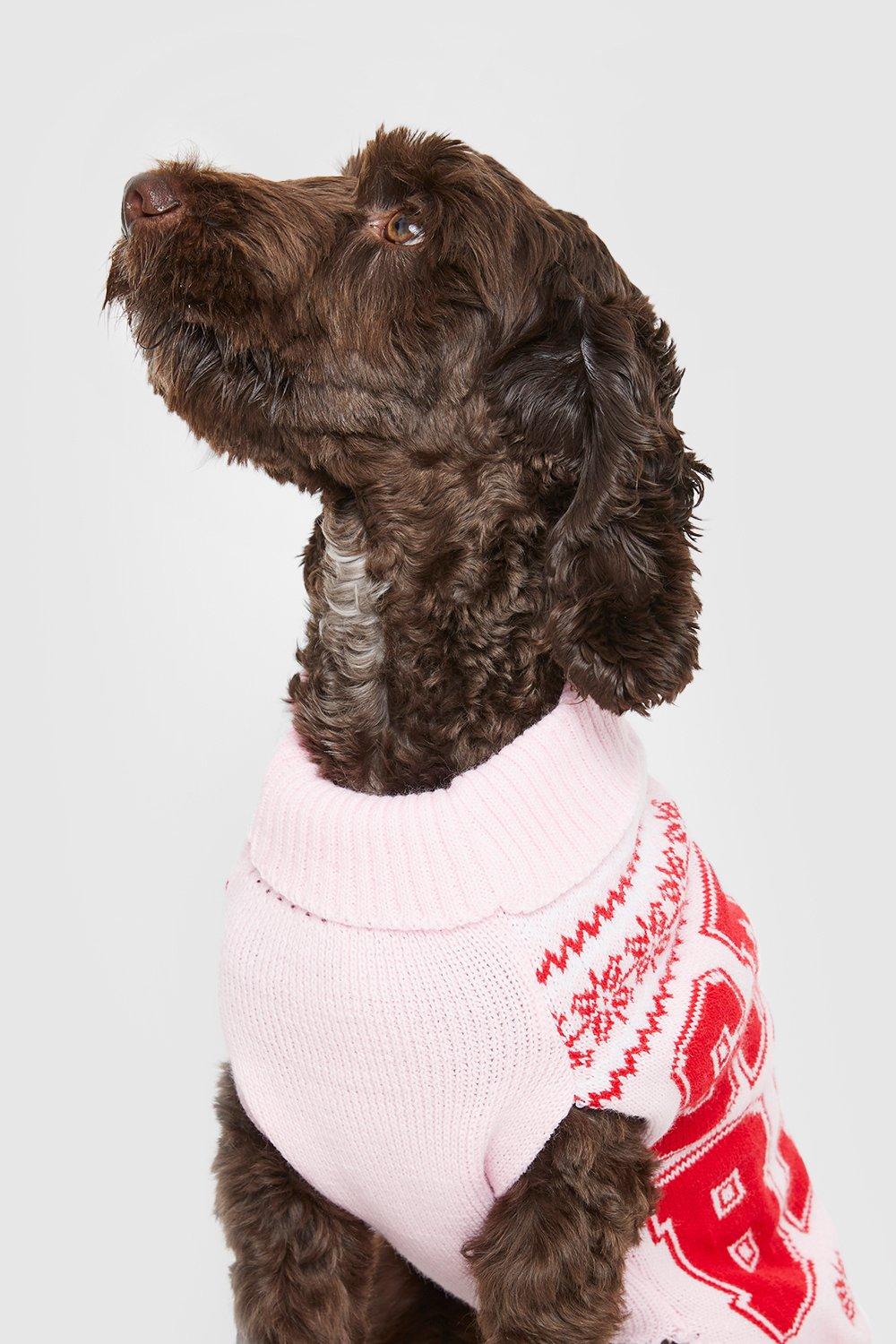 Boohoo christmas outlet jumper dog