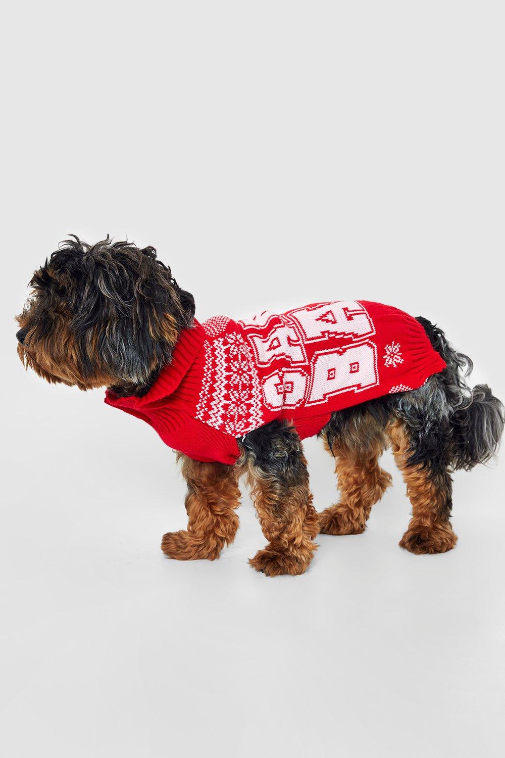 Santa Baby Dog Christmas Sweater