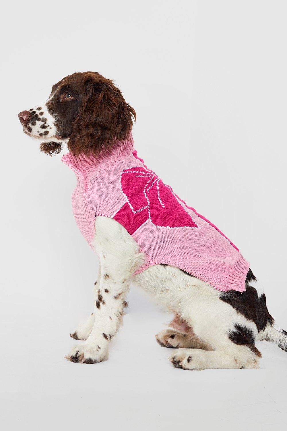 https://media.boohoo.com/i/boohoo/gzz25603_pink_xl_1/female-pink-present-dog-christmas-sweater