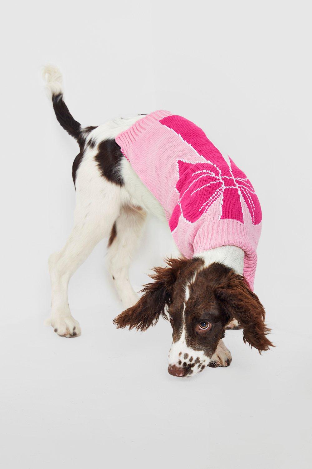 Boohoo christmas hot sale jumper dog