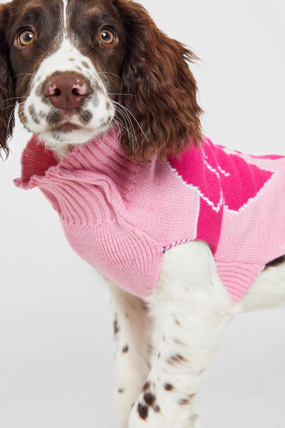 Dog on sale jumper boohoo