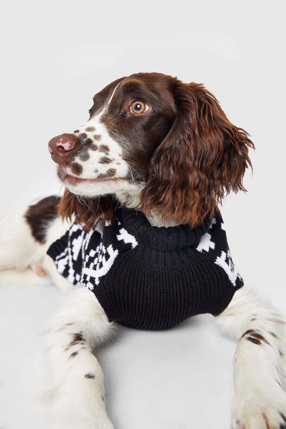 Fairisle Christmas Dog Jumper Boohoo UK