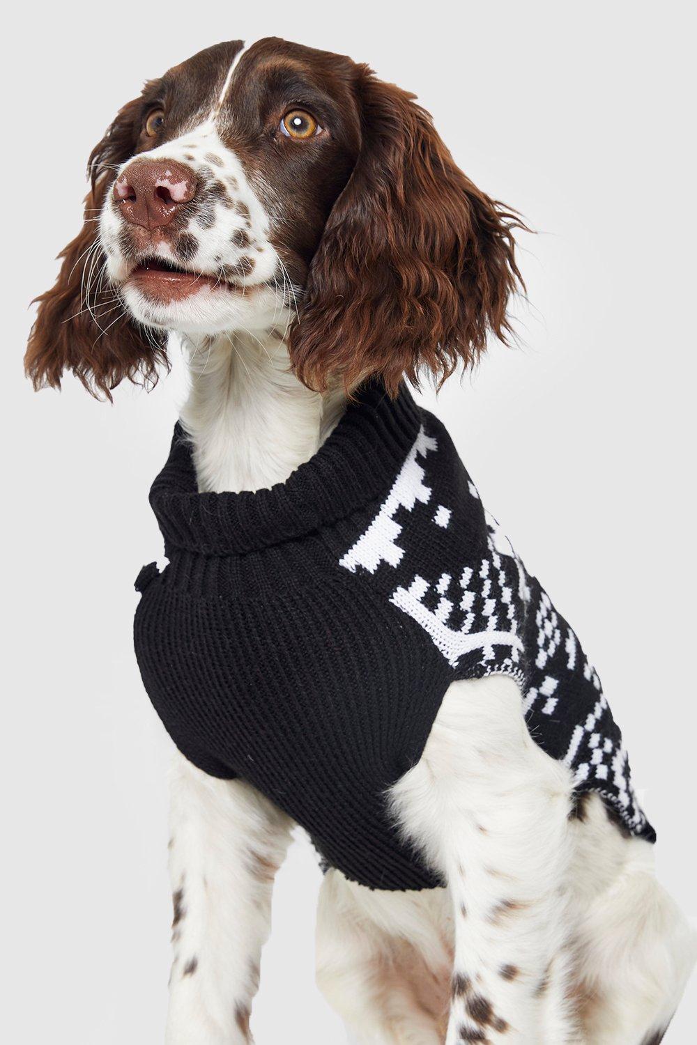 Dog shop jumper boohoo