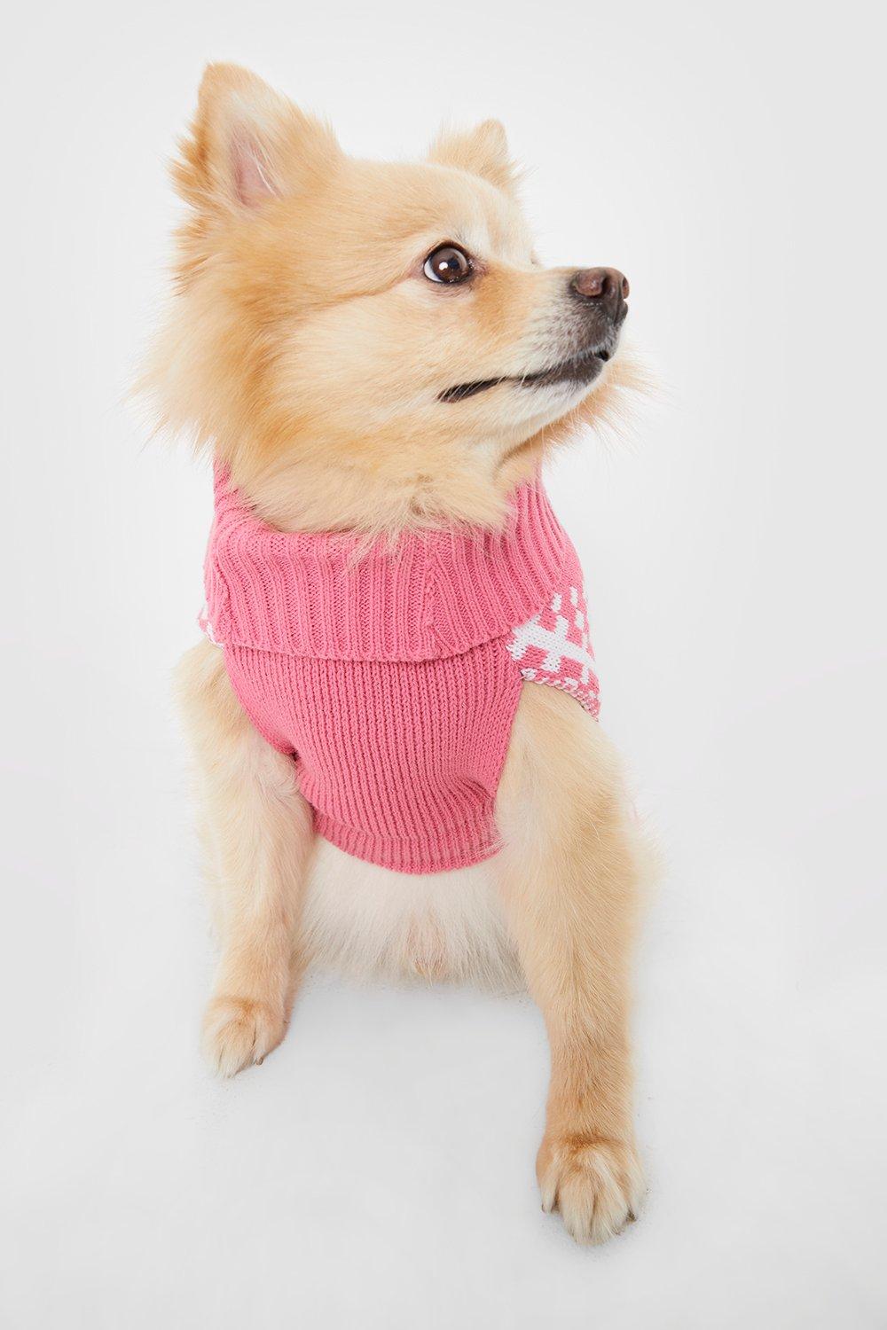 Dog on sale jumper boohoo