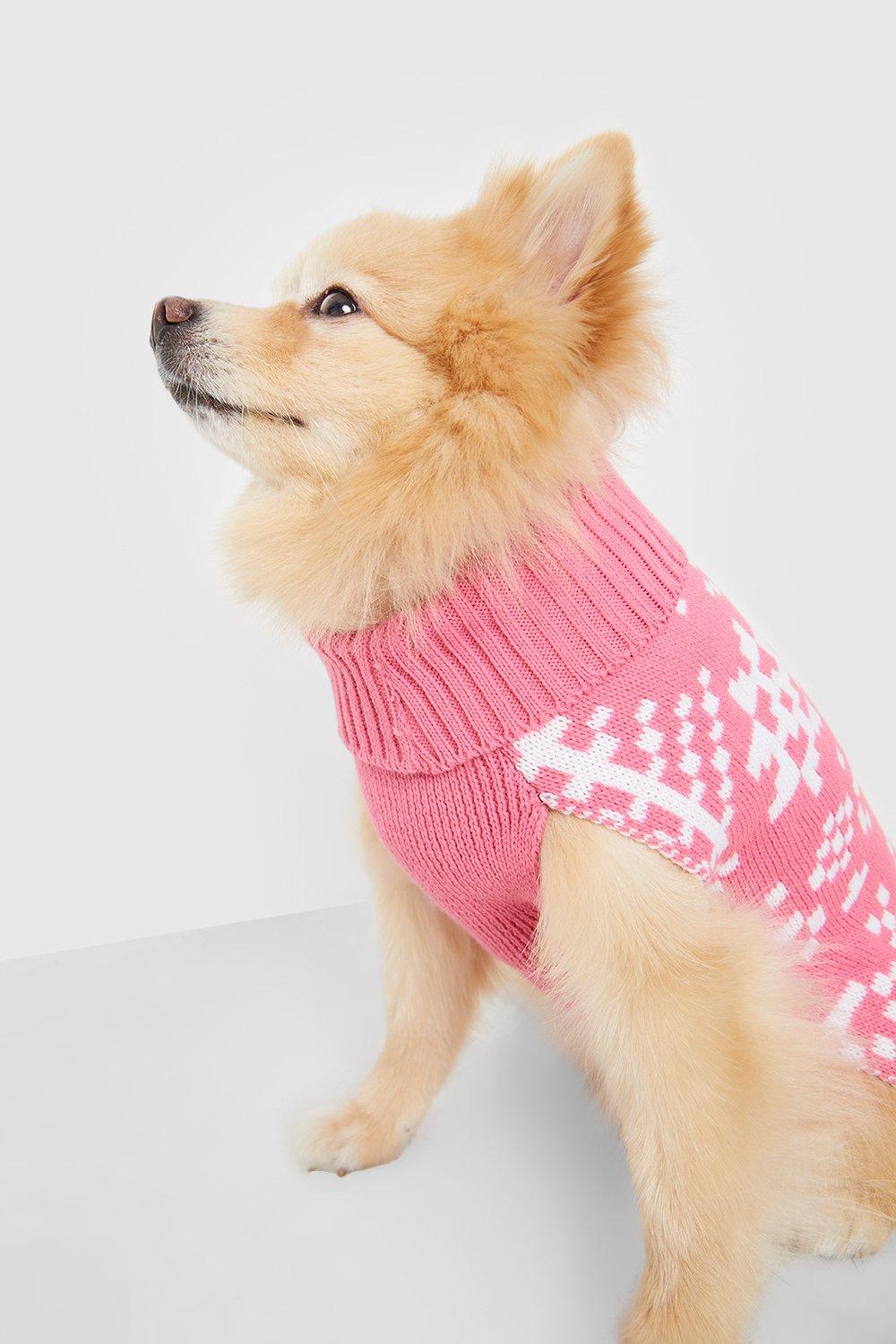 Dog jumper boohoo sale