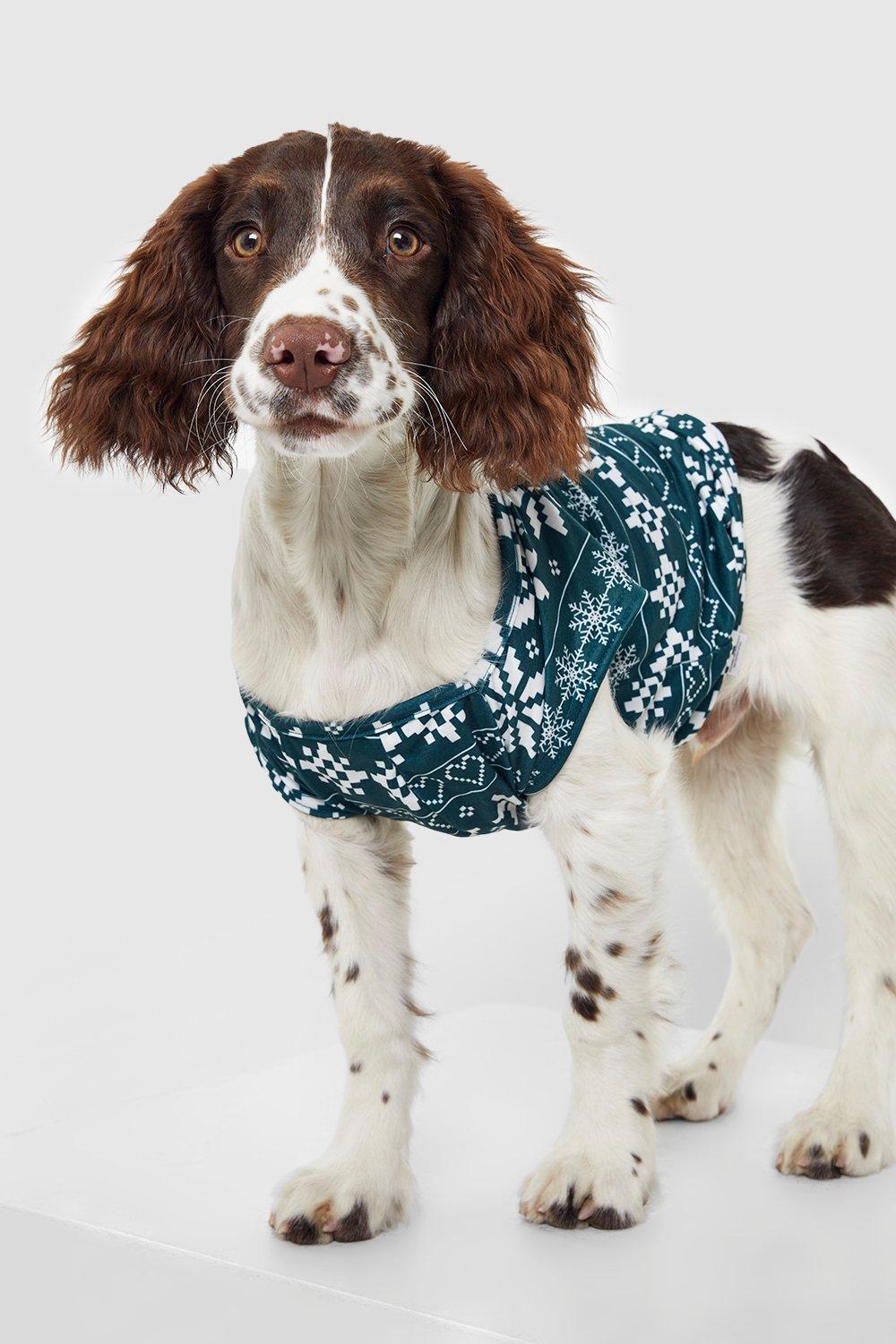 Holiday Printed Jersey-Knit T-Shirt for Pets