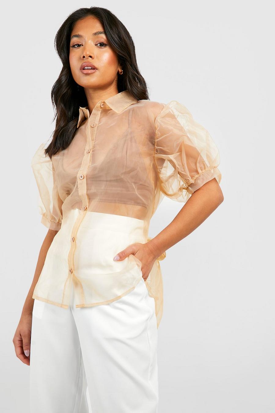 Champagne Petite Organza Belted Puff Sleeve Shirt image number 1