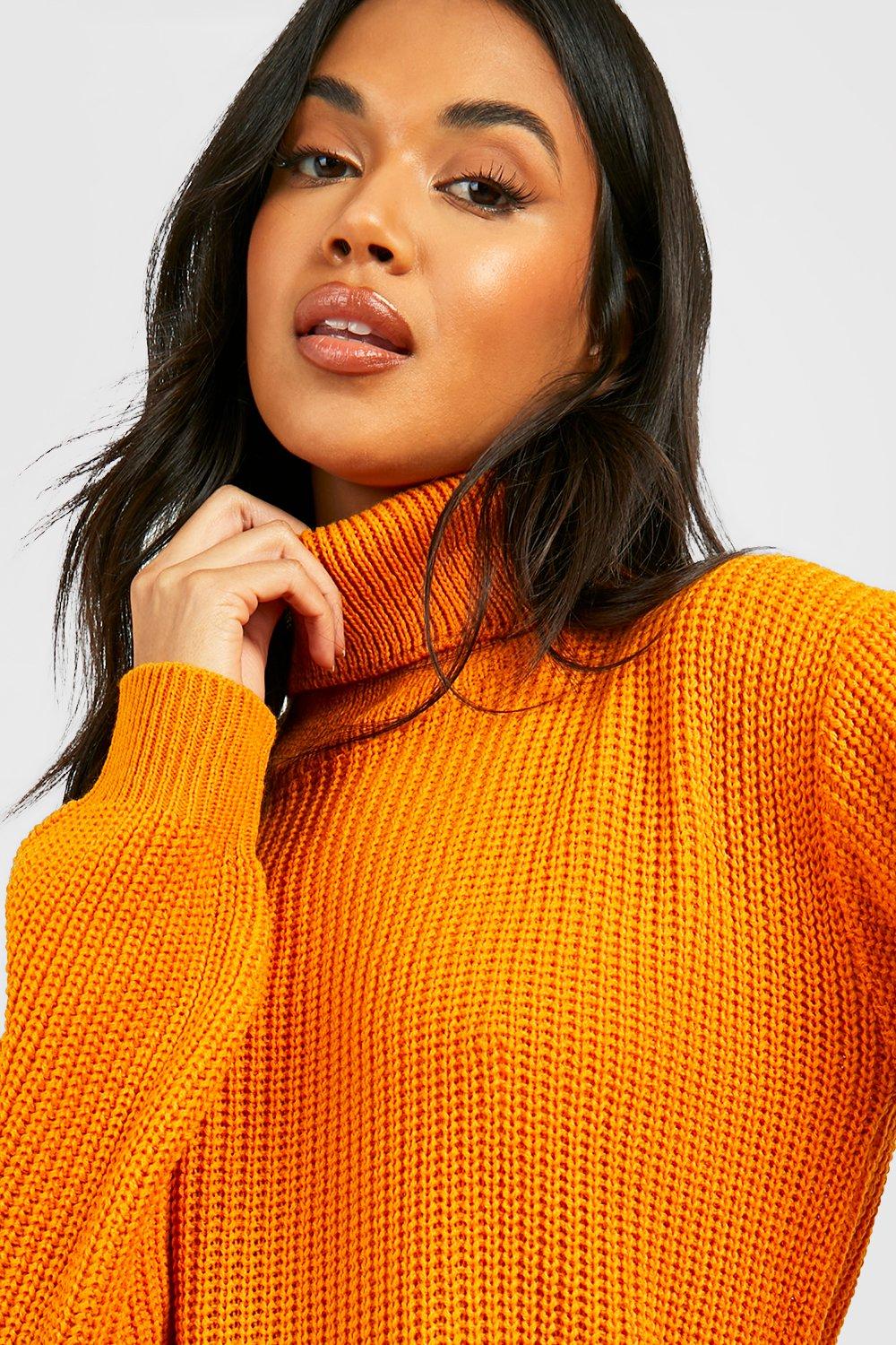 Boohoo roll store neck jumper dress