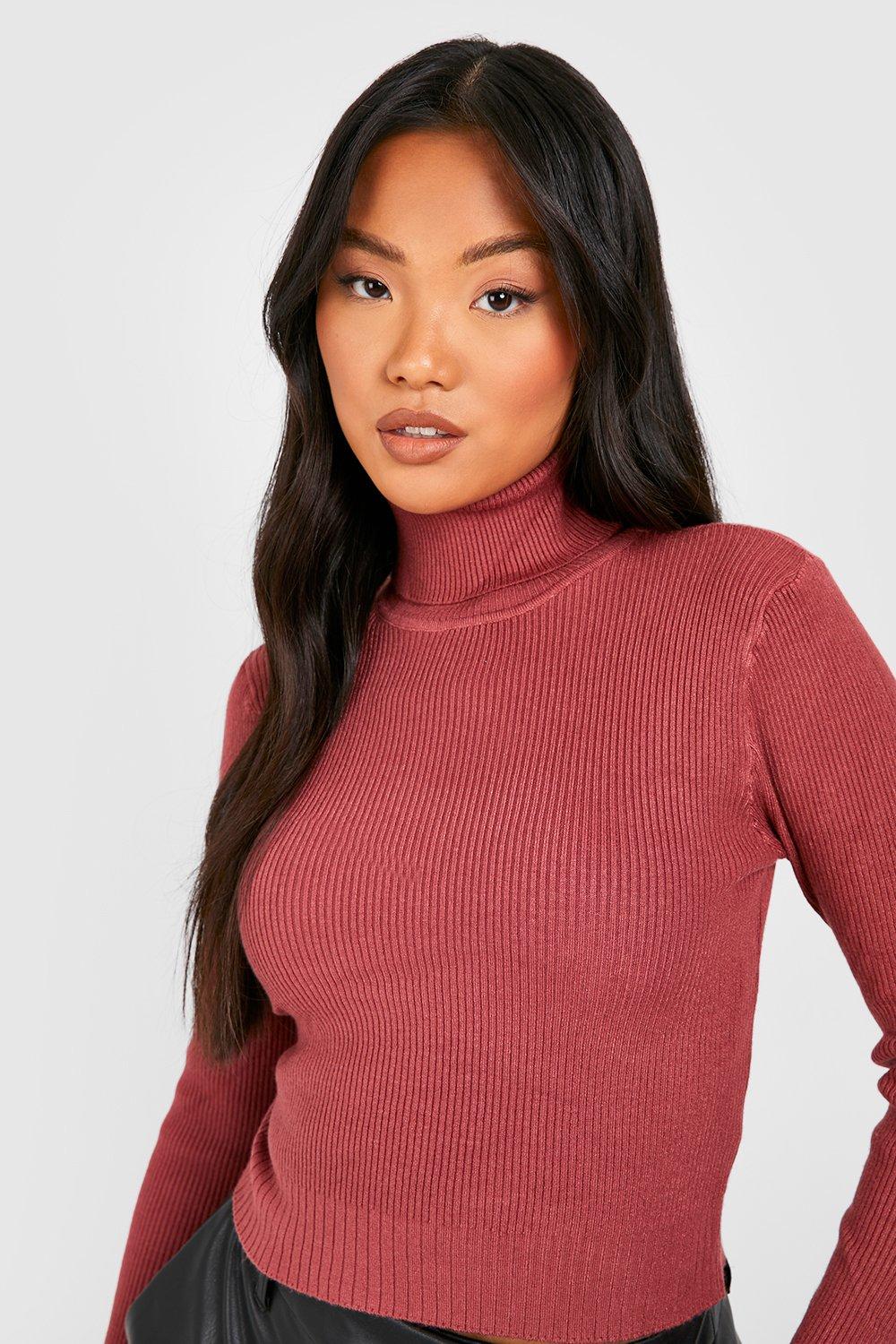 Petite Roll Neck Jumper boohoo IE
