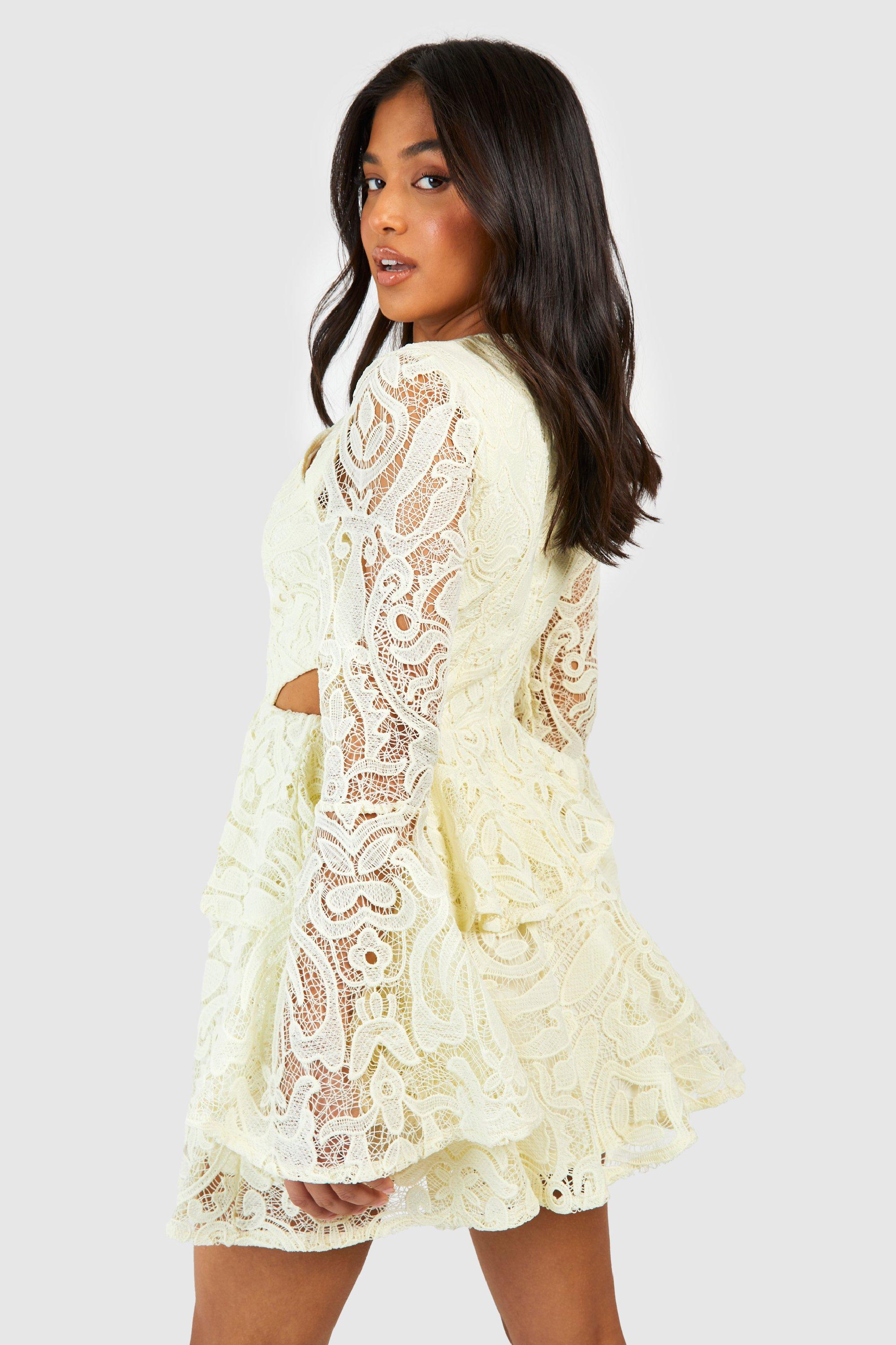 Lace fluted sleeve flare dress sale