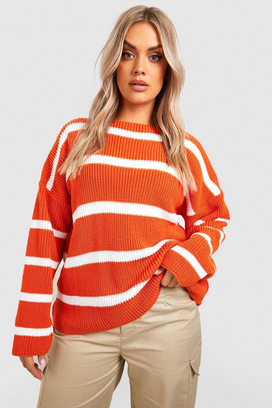 Orange Plus Knitted Striped Crew Neck Sweater image number 1