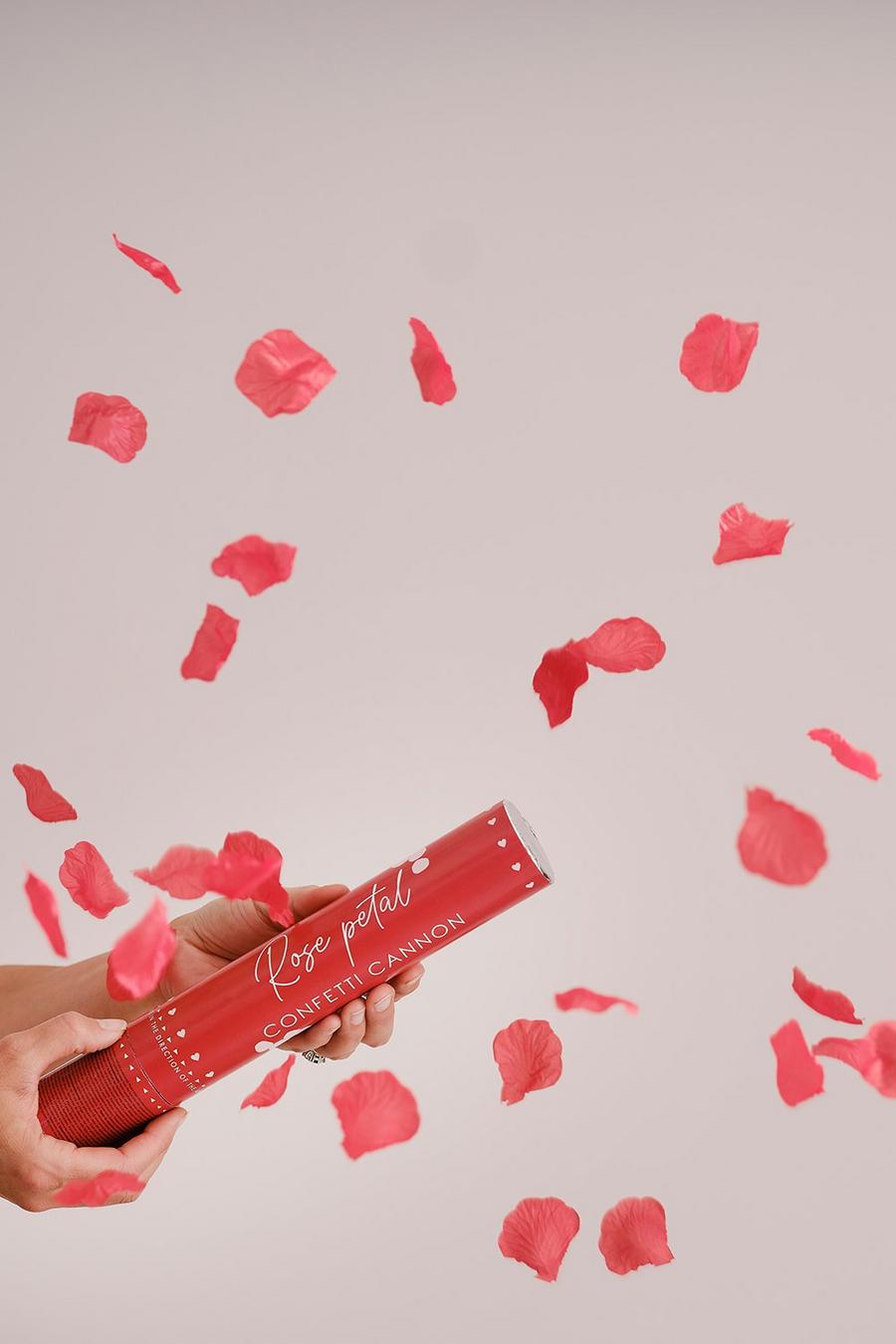 Red Ginger Ray Valentines Heart Confetti Cannon image number 1