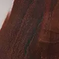 chocolate color