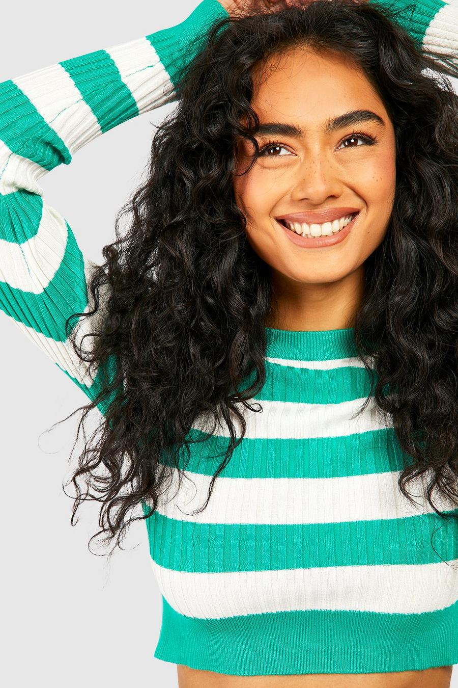 Green Wide Stripe Rib Knit Fine Gauge Sweater image number 1
