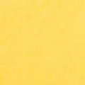 mustard color